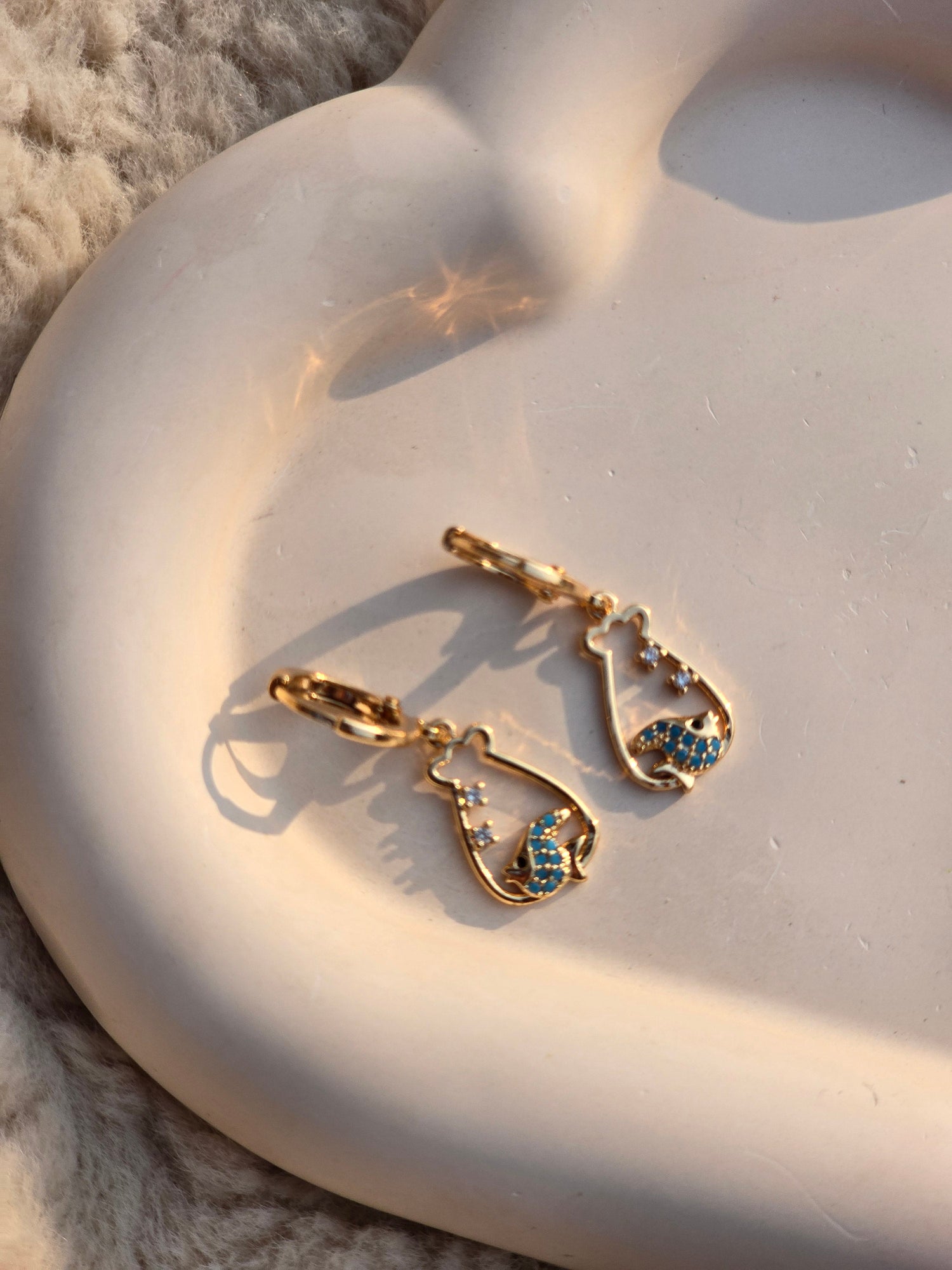 Earrings