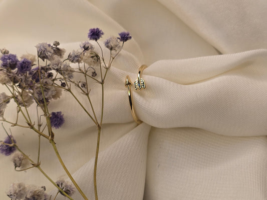 MNR036 Casual Ring